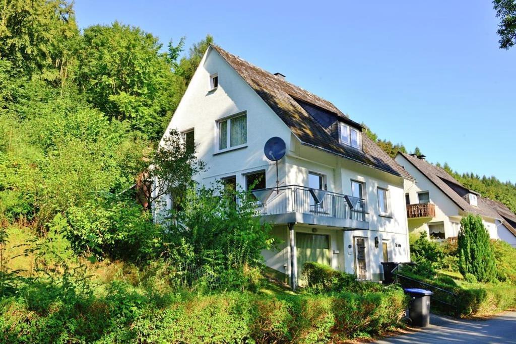 Hammerhuette Willingen (Upland)