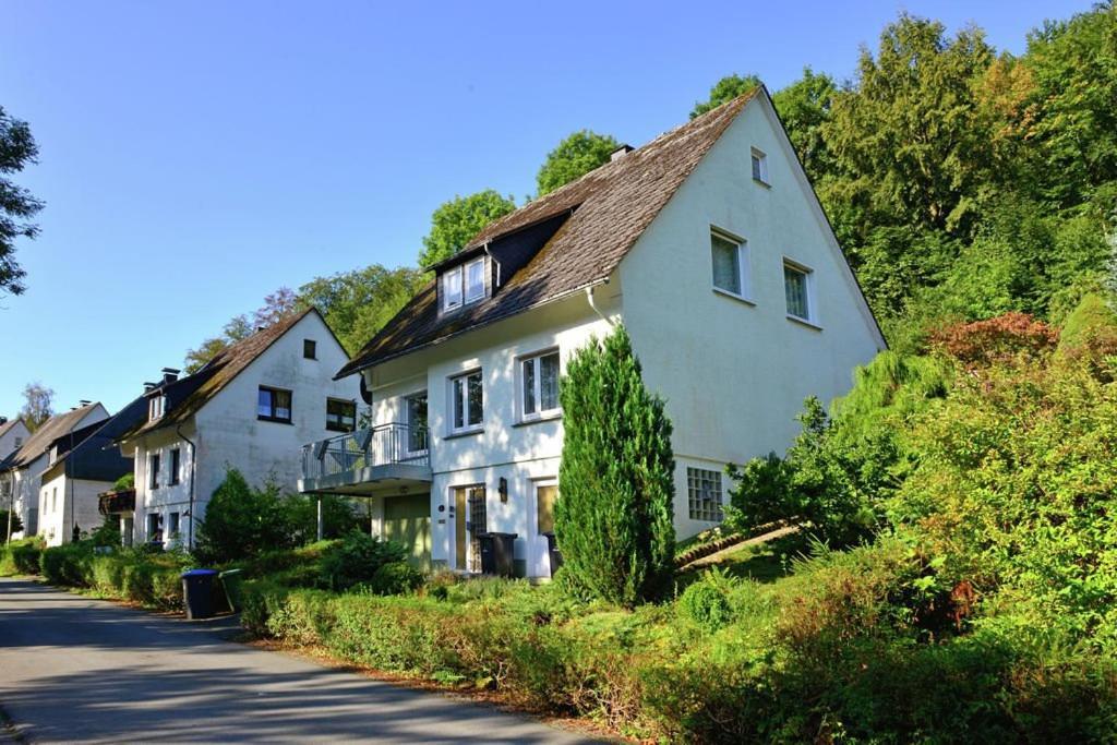 Hammerhuette * Willingen (Upland)